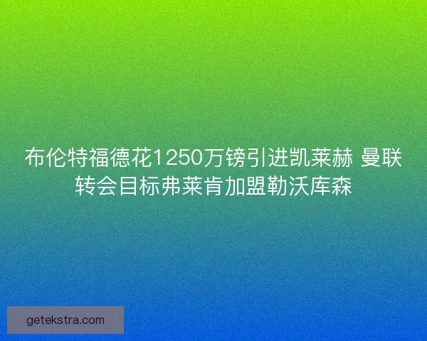 布伦特福德花1250万镑引进凯莱赫 曼联转会目标弗莱肯加盟勒沃库森